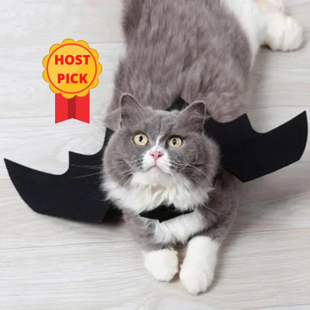 Pet Bat Costume